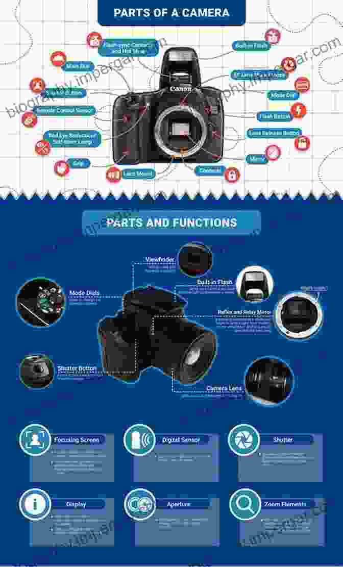 A Diagram Of A Camera's Anatomy, Labeled With The Different Components. Beginner S Photography Guide: The Most Simplified Way To Mastering Camera Settings And Functionality