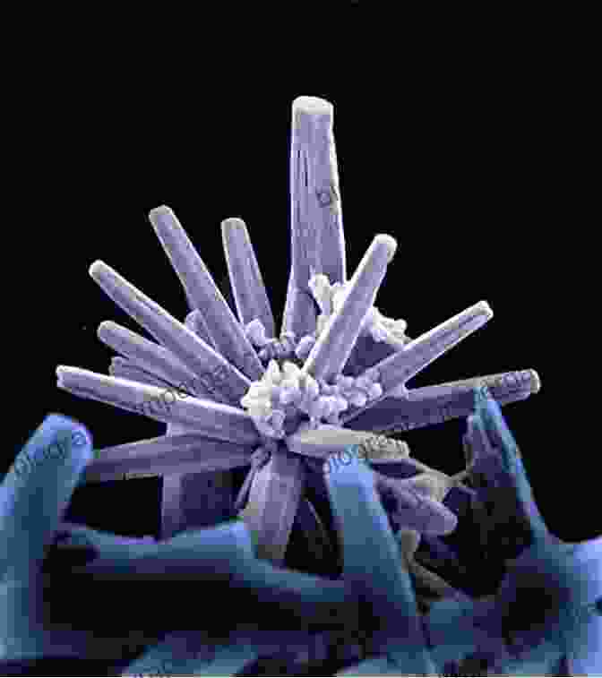 A Microscopic Image Of A Zinc Crystal, Exhibiting Its Crystalline Structure And Metallic Luster. Minerals And Lipids Profiles In Cardiovascular DisFree Downloads In South Asia: Cu Mg Se Zn And Lipid Serum Profiles For The Example Of Patients In Pakistan