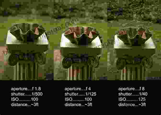 A Series Of Photographs Demonstrating The Effect Of Different Aperture Settings On Depth Of Field. Beginner S Photography Guide: The Most Simplified Way To Mastering Camera Settings And Functionality