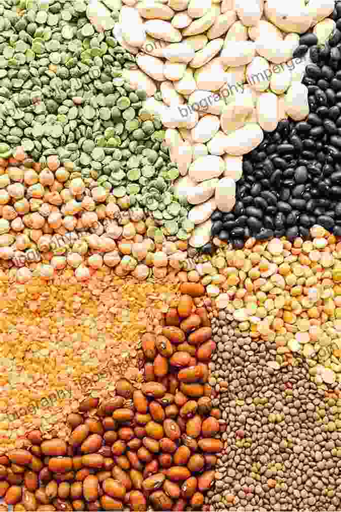 A Vibrant Display Of Legumes In Various Shapes And Colors. Love Thy Legumes Sonali Suratkar