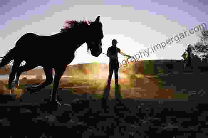 A Young Horse Being Trained By A Rider Basic Training Of The Young Horse: Dressage Jumping Cross Country