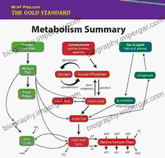 Biochemistry And Metabolism Bloodwork Blood Results In Clinical Practice: A Practical Guide To Interpreting Blood Test Results