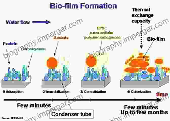 Biofilm Structure The Role Of Biofilms In Device Related Infections (Springer On Biofilms 3)