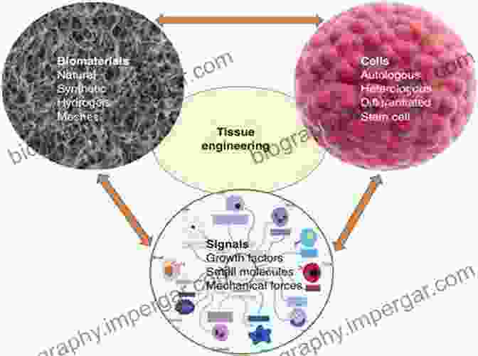 Biomaterials And Tissue Engineering In Regenerative Medicine Biomechanics: Concepts And Computation (Cambridge Texts In Biomedical Engineering)