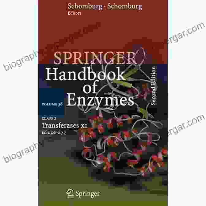 Class Transferases III EC 6.0. Enzyme Handbook Vol 30 Class 2 Transferases III: EC 2 3 1 60 2 3 3 15 (Springer Handbook Of Enzymes 30)