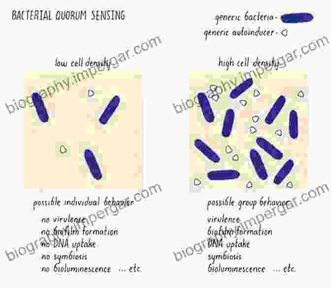 Diagram Of Bacterial Quorum Communication The Physical Basis Of Bacterial Quorum Communication (Biological And Medical Physics Biomedical Engineering)