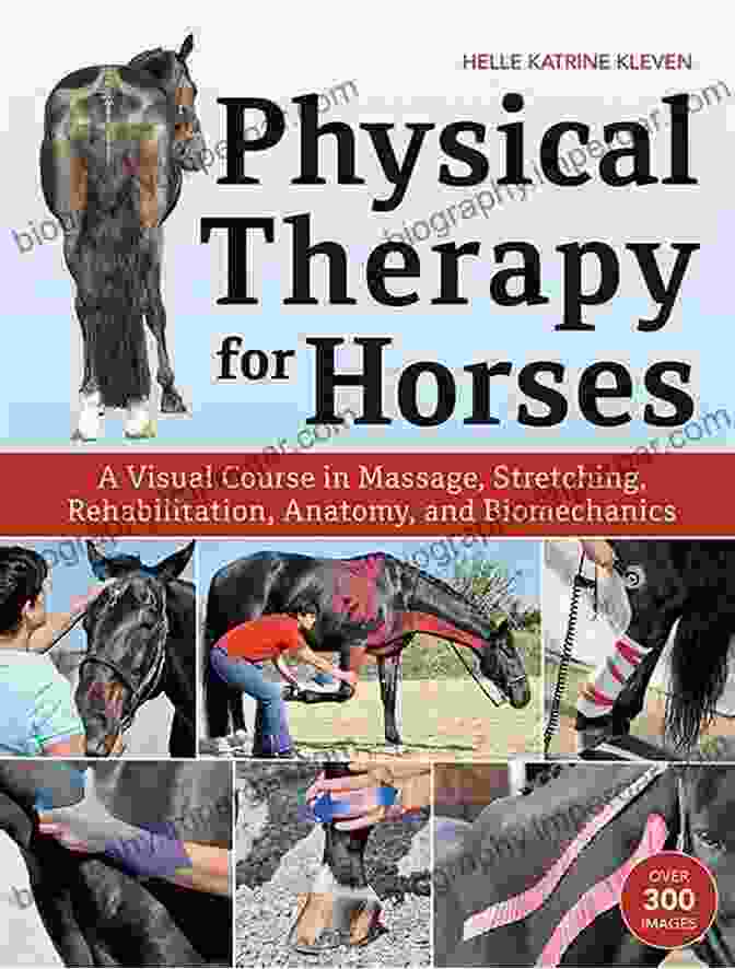 Equine Injury Therapy And Rehabilitation Book Cover Featuring A Horse Recovering From An Injury Equine Injury Therapy And Rehabilitation