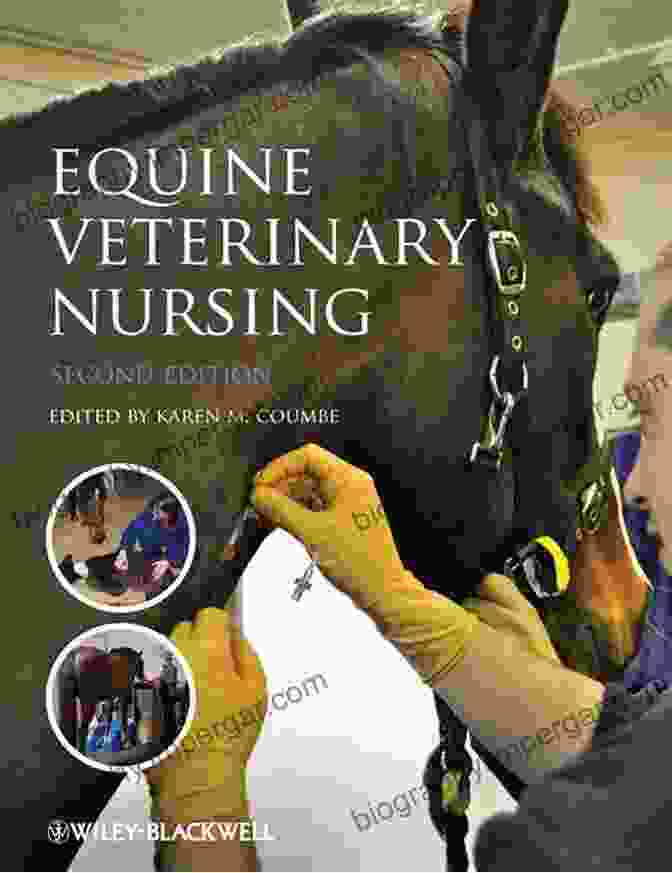 Equine Veterinary Nursing Book Cover Equine Veterinary Nursing