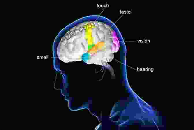 Higher Processing Of Visual Information In The Brain Multiresolution Approach To Processing Images For Different Applications: Interaction Of Lower Processing With Higher Vision (SpringerBriefs In Electrical And Computer Engineering)