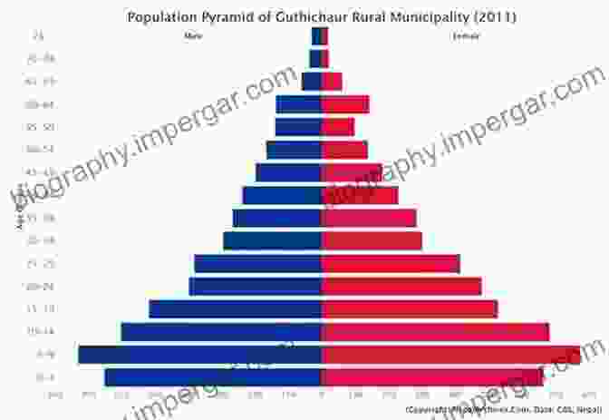 Image Of A Population Pyramid Dynamic Population Models (The Springer On Demographic Methods And Population Analysis 17)