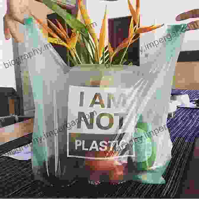 Image Of Plant Based Plastic Packaging Material Packaging For Sustainability