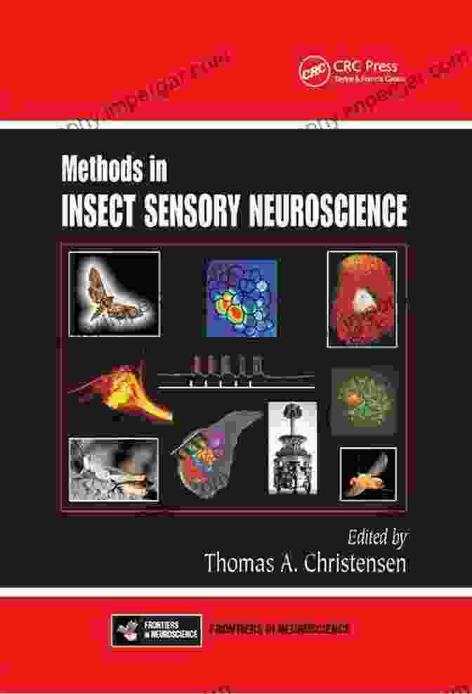 Insect Chemosensory Organ Methods In Insect Sensory Neuroscience (Frontiers In Neuroscience)