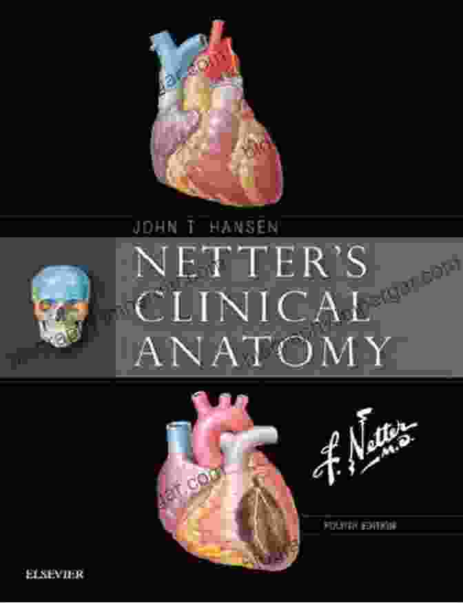 Netter Gastroenterology: Netter Clinical Science, 4th Edition Netter S Gastroenterology E (Netter Clinical Science)