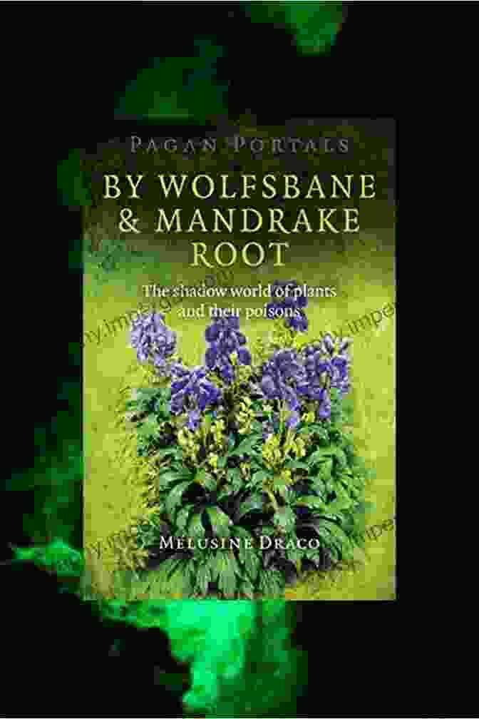 Pagan Portals Book Cover, Featuring A Woman With Wolfsbane And Mandrake Roots In Her Hands Pagan Portals By Wolfsbane Mandrake Root: The Shadow World Of Plants And Their Poisons