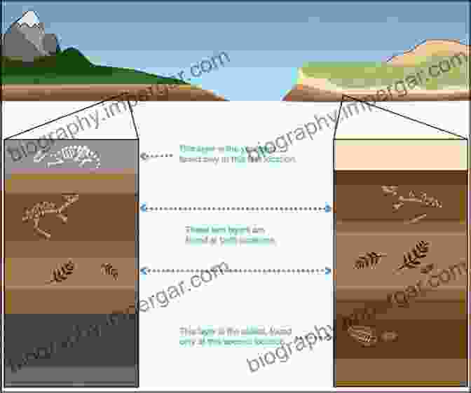 Palaeotsunami Deposits Preserved In Sedimentary Layers, Providing A Glimpse Into Past Tsunami Events. Geological Records Of Tsunamis And Other Extreme Waves