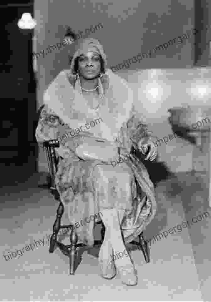 Portrait Of Stephanie St. Clair, A Stylishly Dressed Woman With An Enigmatic Gaze And A Glint Of Determination In Her Eyes. She Exudes An Aura Of Both Authority And Allure, Hinting At The Extraordinary Life She Led As A Key Figure In The Harlem Underworld During The Early 20th Century. The World Of Stephanie St Clair: An Entrepreneur Race Woman And Outlaw In Early Twentieth Century Harlem (Black Studies And Critical Thinking 59)