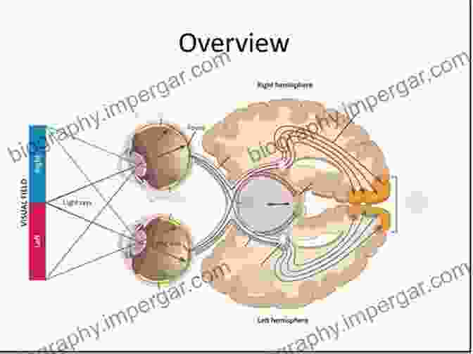 Retina Processing Of Visual Information Multiresolution Approach To Processing Images For Different Applications: Interaction Of Lower Processing With Higher Vision (SpringerBriefs In Electrical And Computer Engineering)