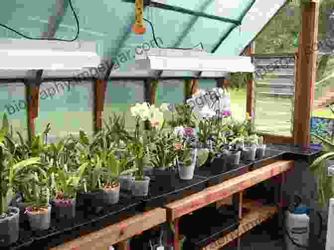 Scientists Conducting Research In An Orchid Greenhouse Orchid Biology: Reviews And Perspectives X