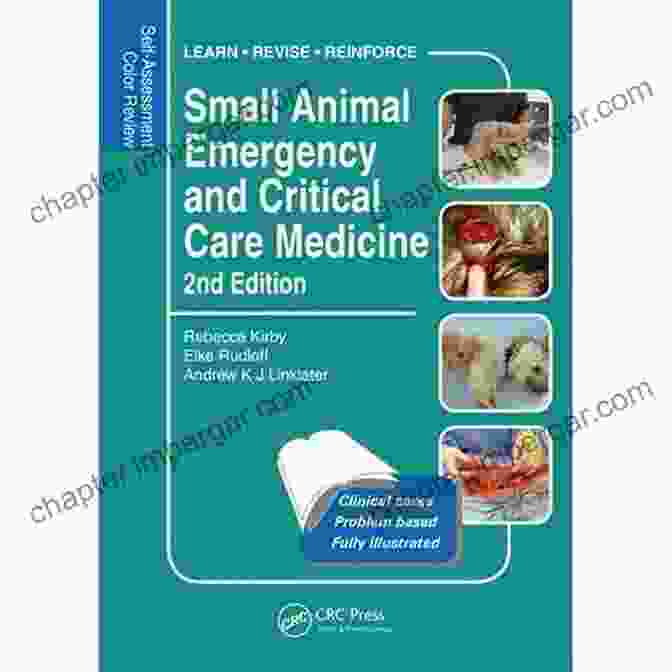 Self Assessment Color Review Second Edition Veterinary Self Assessment Color Moriello S Small Animal Dermatology Volume 1 Fundamental Cases And Concepts: Self Assessment Color Review Second Edition (Veterinary Self Assessment Color Review Series)