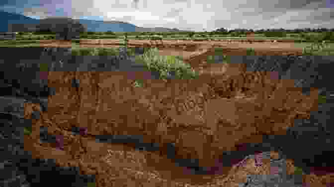 Soil Erosion In Africa Soil Degradation And Restoration In Africa (Advances In Soil Science)