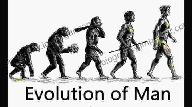 The Seven Million Year Journey Of Human Evolution Last Ape Standing: The Seven Million Year Story Of How And Why We Survived