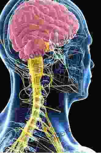 Atlas Of The Human Brain And Spinal Cord