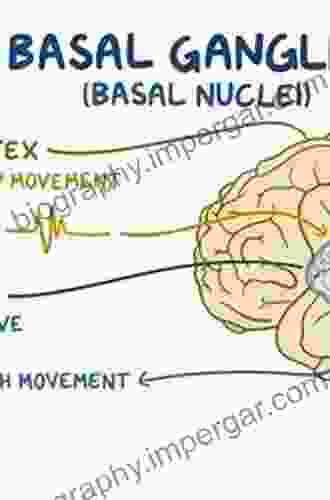 Basal Ganglia And Thalamus In Health And Movement Disorders