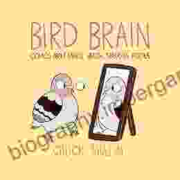 Bird Brain: Comics About Mental Health Starring Pigeons