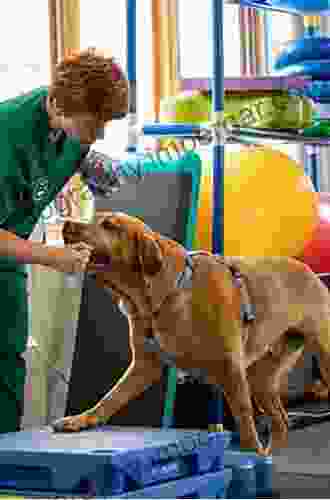 Canine Rehabilitation And Physical Therapy