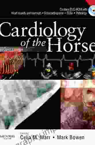 Cardiology Of The Horse