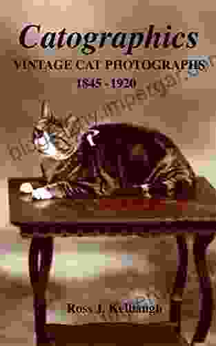 Catographics: Vintage Cat Photographs 1845 1920