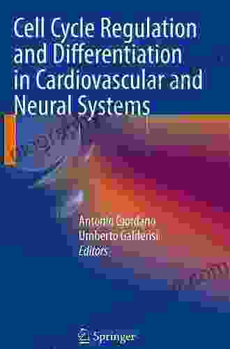 Cell Cycle Regulation And Differentiation In Cardiovascular And Neural Systems