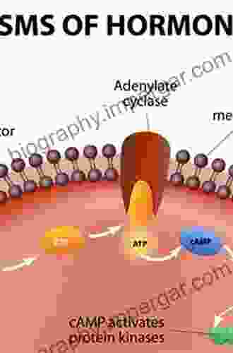 Cell Polarity 1: Biological Role And Basic Mechanisms