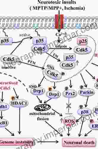 Cyclin Dependent Kinase 5 (Cdk5)