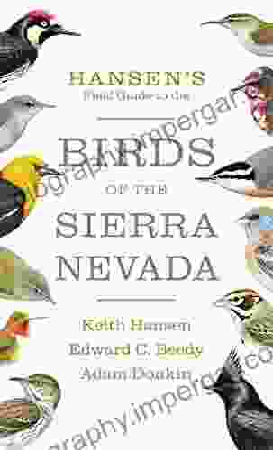 Hansen S Field Guide To The Birds Of The Sierra Nevada