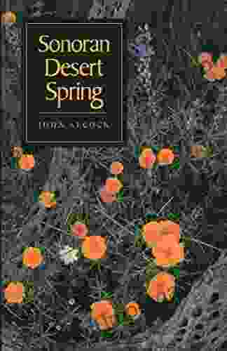 Sonoran Desert Spring John Alcock