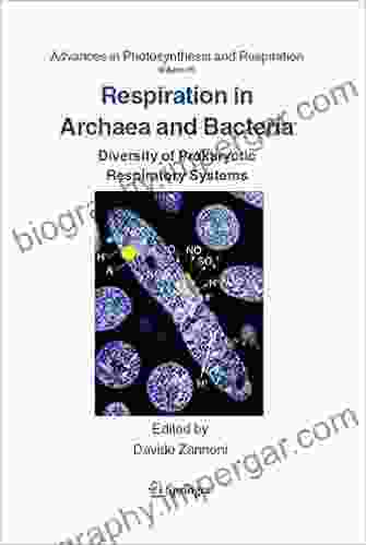 Respiration In Archaea And Bacteria: Diversity Of Prokaryotic Respiratory Systems (Advances In Photosynthesis And Respiration 16)