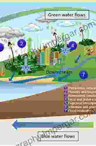 Ecohydrology: Vegetation Function Water And Resource Management