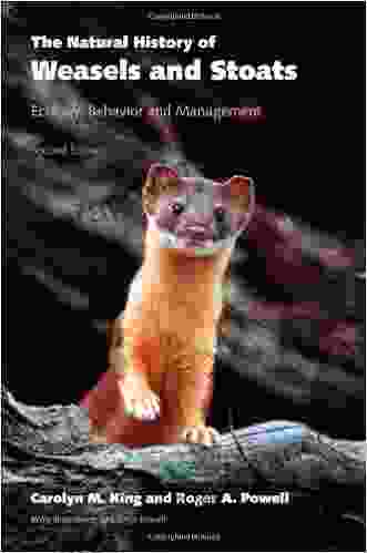 The Natural History Of Weasels And Stoats: Ecology Behavior And Management