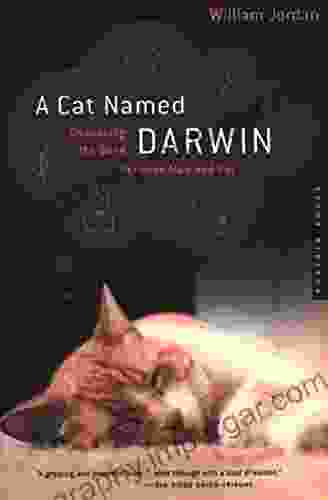 A Cat Named Darwin: Embracing the Bond Between Man and Pet