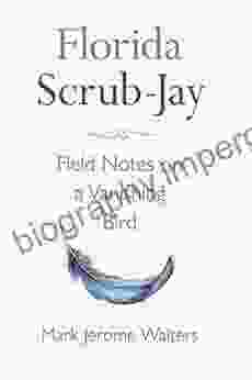 Florida Scrub Jay: Field Notes On A Vanishing Bird