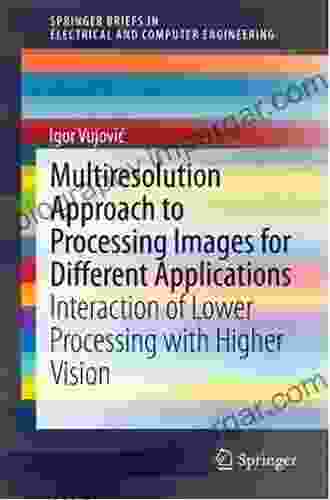 Multiresolution Approach To Processing Images For Different Applications: Interaction Of Lower Processing With Higher Vision (SpringerBriefs In Electrical And Computer Engineering)