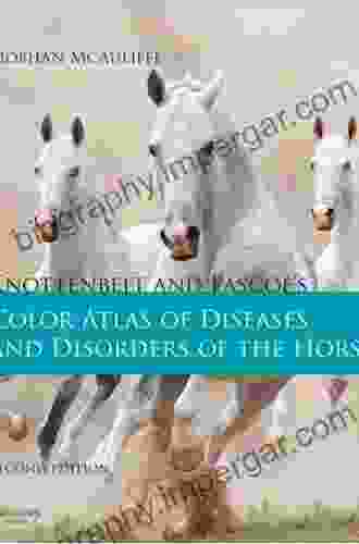 Knottenbelt And Pascoe S Color Atlas Of Diseases And Disorders Of The Horse