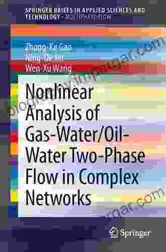 Nonlinear Analysis Of Gas Water/Oil Water Two Phase Flow In Complex Networks (SpringerBriefs In Applied Sciences And Technology)