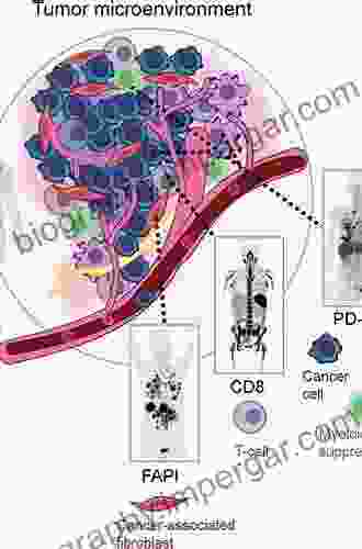 Nuclear Medicine and Molecular Imaging: Case Review