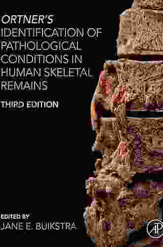 Ortner S Identification Of Pathological Conditions In Human Skeletal Remains