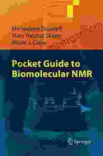 Pocket Guide To Biomolecular NMR