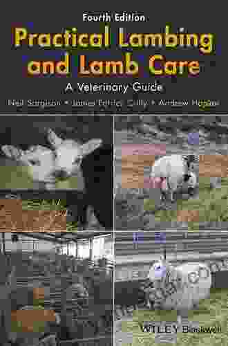 Practical Lambing And Lamb Care: A Veterinary Guide