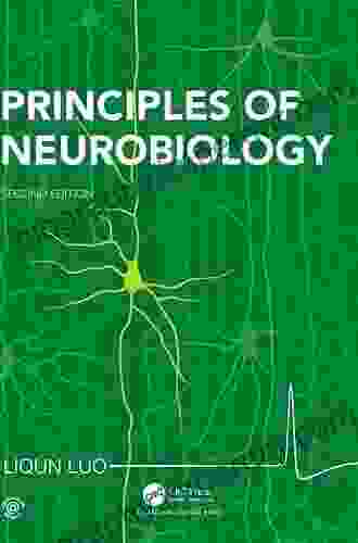 Principles Of Neurobiology