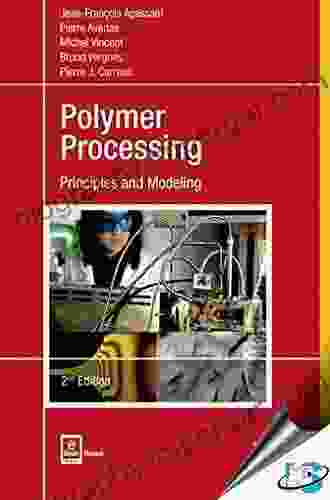 Principles of Polymer Processing